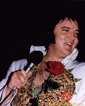 This is the Avatar Image for the Elvis Presley (1977 Updated) AI Voice and Text to Speech Generator
